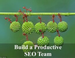 build a productive seo team structure