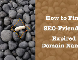 find seo friendly expired domain names