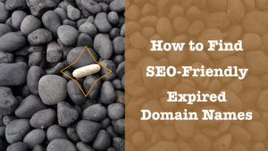 find seo friendly expired domain names