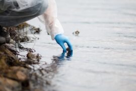 check the water quality